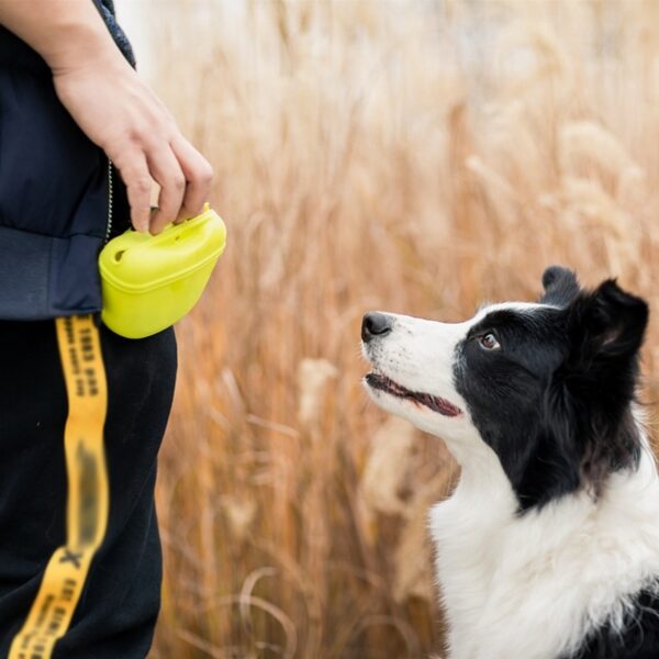 Pet Portable Dog Training Waist Bag Treat Snack Bait Dogs Obedience Agility Outdoor Feed Storage Pouch Food Reward Waist Bags 5