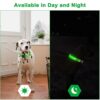 LED Glowing Dog Collar Adjustable Flashing Rechargea Luminous Collar Night Anti-Lost Dog Light HarnessFor Small Dog Pet Products 3
