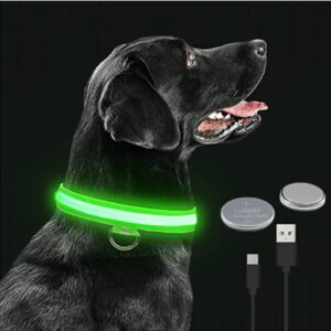 LED Glowing Dog Collar Adjustable Flashing Rechargea Luminous Collar Night Anti-Lost Dog Light HarnessFor Small Dog Pet Products 1