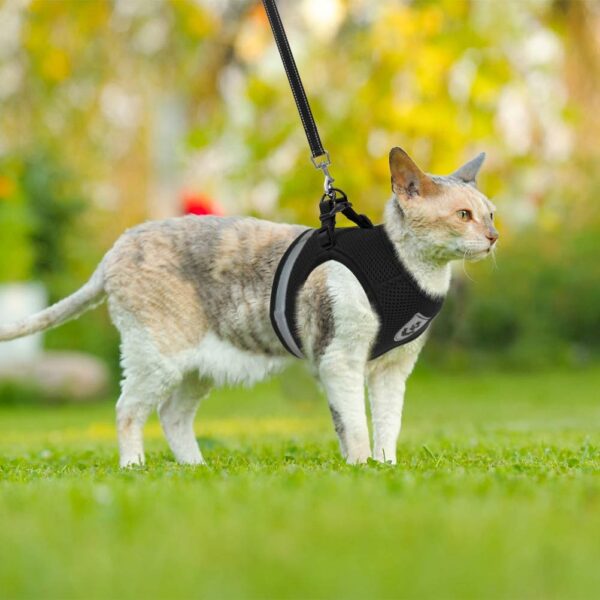 Breathable Cat Harness And Leash Escape Proof Pet Clothes Kitten Puppy Dogs Vest Adjustable Easy Control Reflective Cat Harness 5